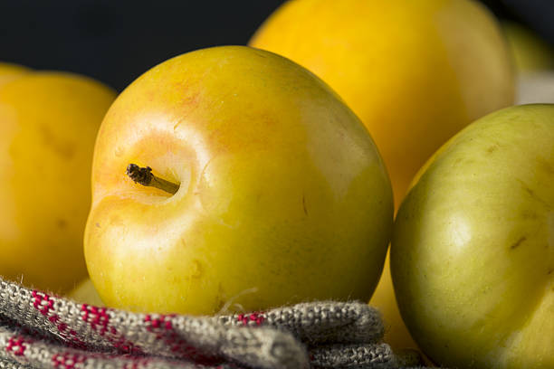 قیمت خرید سیب زرد ارومیه + فروش ویژه